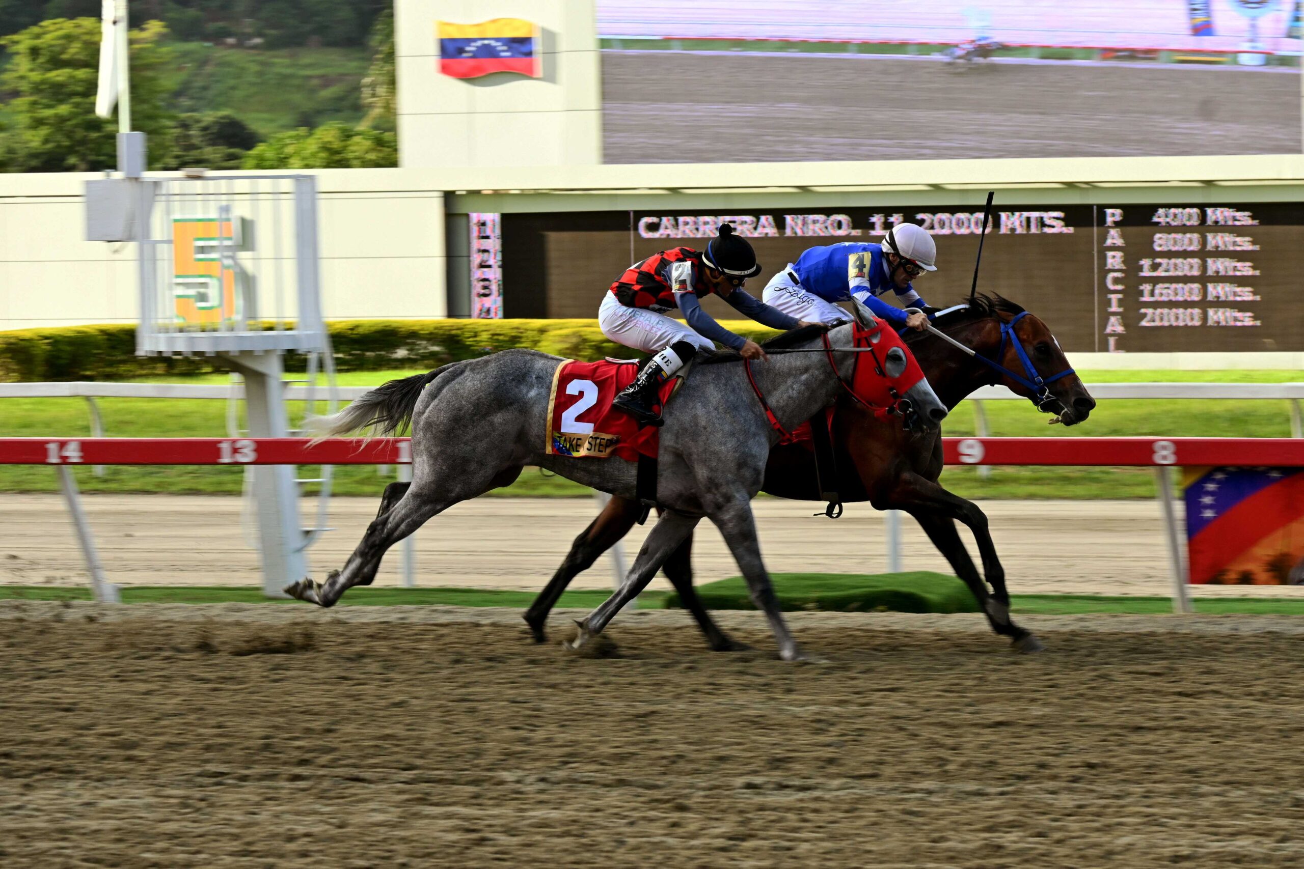 Isobárico, horse, Roger Rocket, Clásico República de Venezuela, sábado, 26 de julio de 2025, La Rinconada. Foto: José Antonio Aray