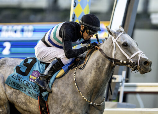 Lovesick, horse, Grazen, Bing Crosby Stakes, sábado, 26 de julio de 2025, Del Mar. Foto: Benoit Photo