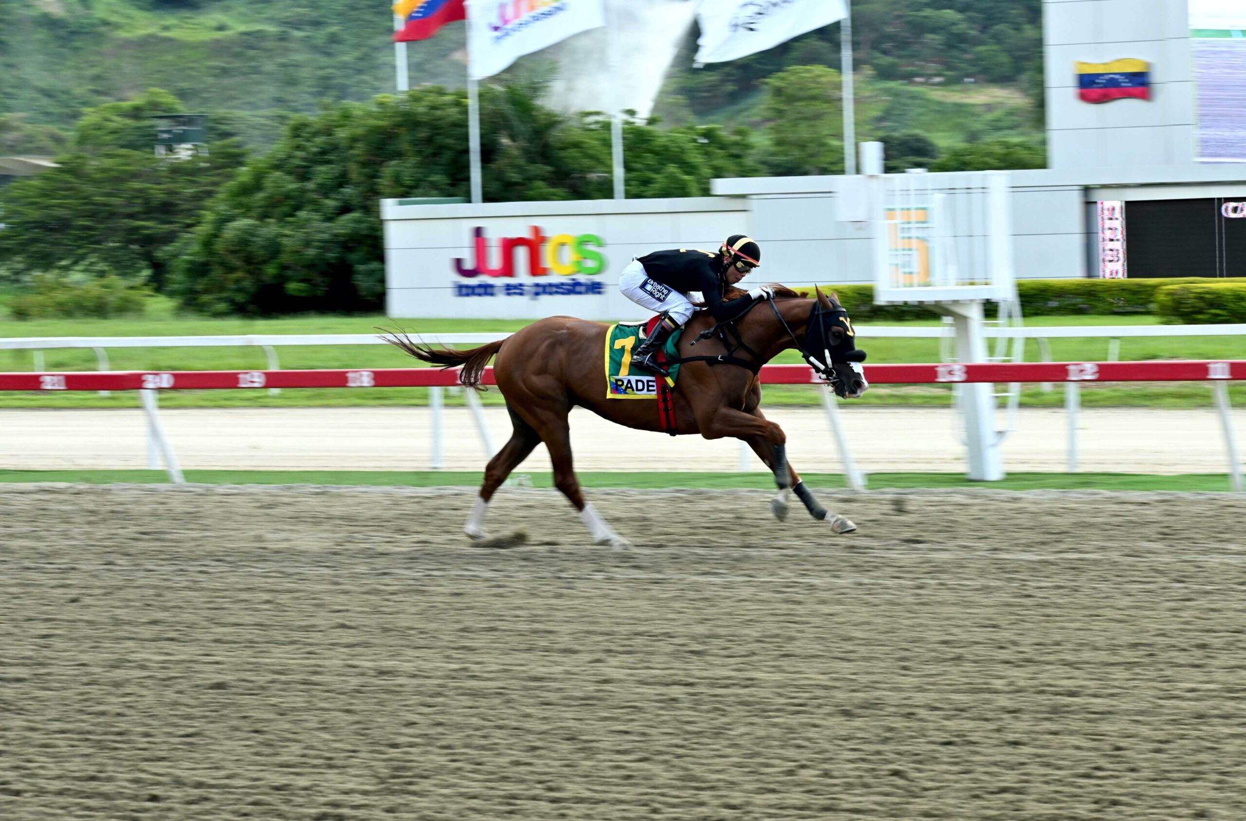Pádel, horse, Haras La Quebarada, Clásico FAN, domingo, 6 de julio de 2025, La Rinconada. Foto: José Antonio Aray