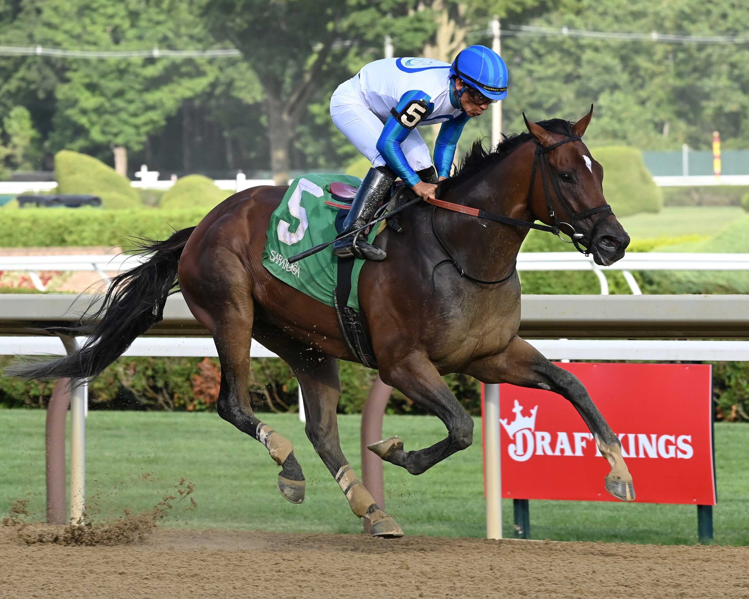 Bookém Danno, horses, Bucchero, Alfred G. Vanderbilt, sábado, 19 de julio de 2025, Saratoga. Foto: Coglaniese Photo
