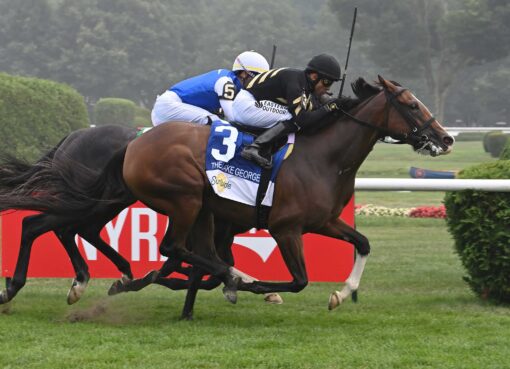 Daisy Flyer, horse, Mshawish, Lake Goerge Stakes, sábado, 28 de julio de 2025, Saratoga. Foto: Coglaniese Photo