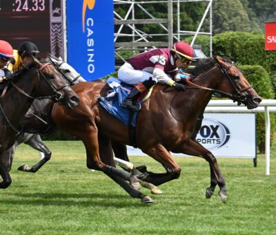 Deep Satin, horses, Eurowest Bloodstock Services, De La Rosa Stakes, jueves, 10 de julio de 2025, Saratoga. Foto: Coglianese Photo