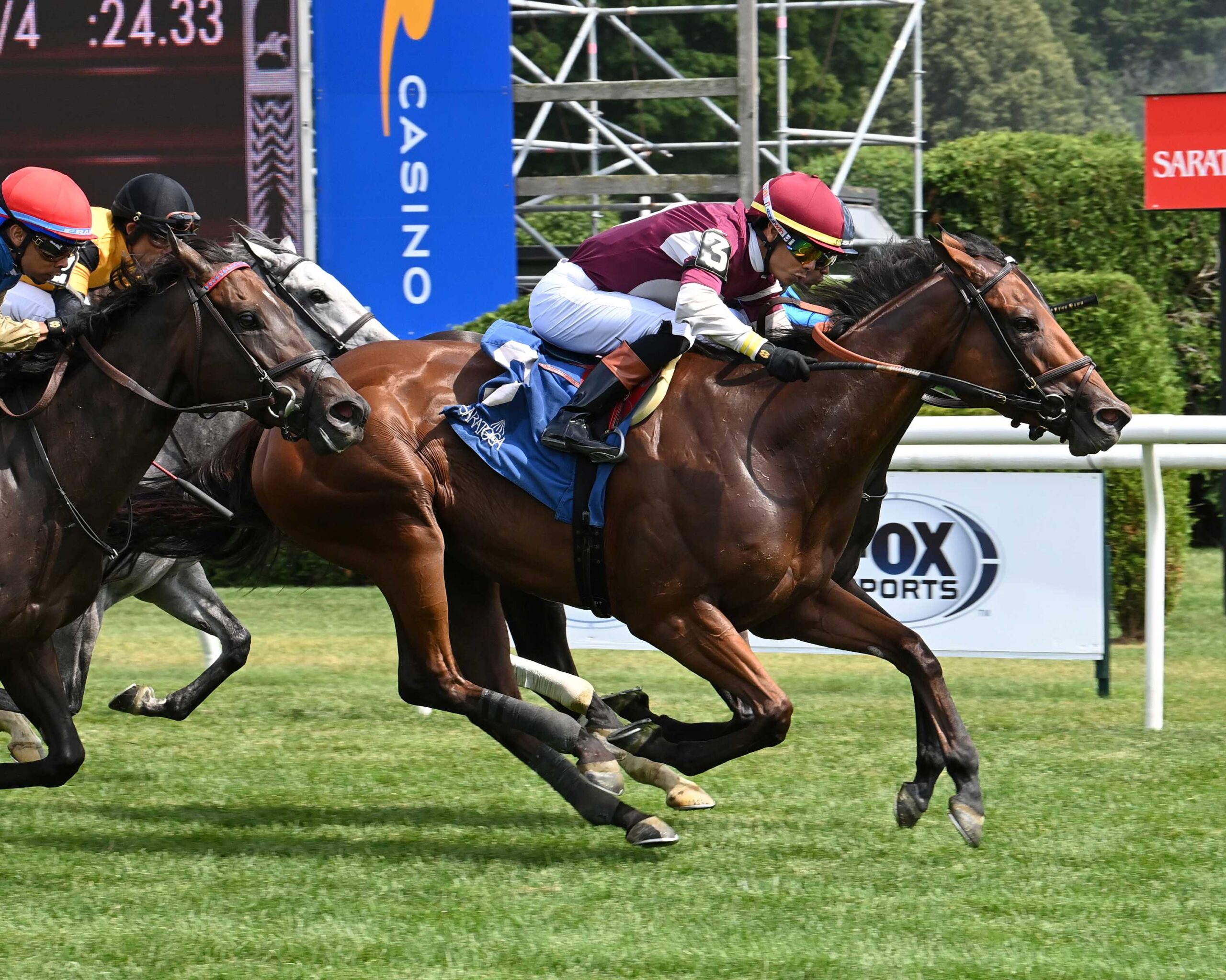 Deep Satin, horses, Eurowest Bloodstock Services, De La Rosa Stakes, jueves, 10 de julio de 2025, Saratoga. Foto: Coglianese Photo