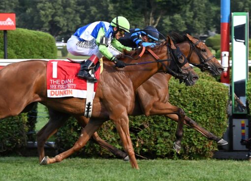 Excellent Truth, horses, Resolute Racing, Dunkin´ Diana Stakes, sábado, 12 de julio de 2025, Saratoga. Foto: Coglianese Photo