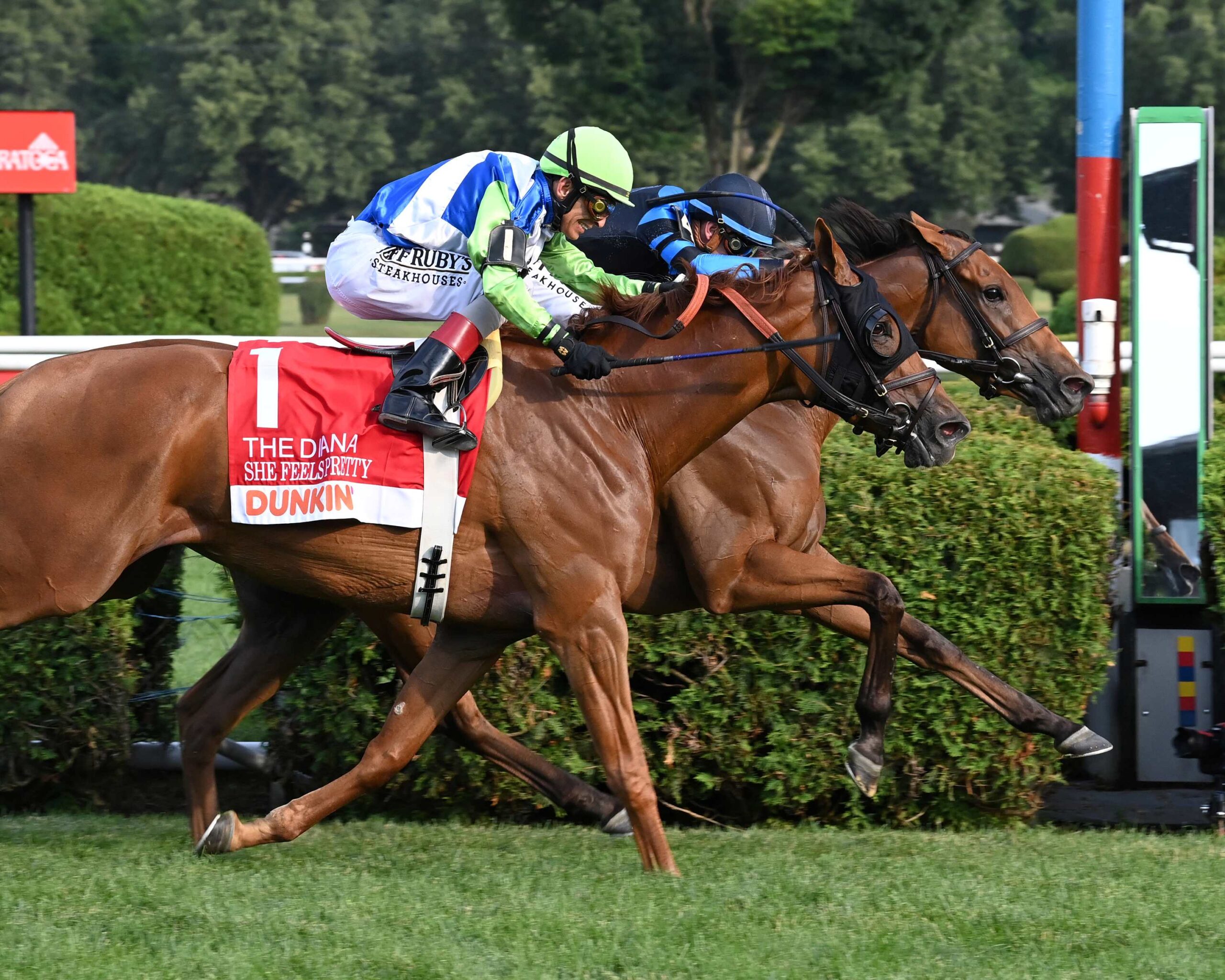 Excellent Truth, horses, Resolute Racing, Dunkin´ Diana Stakes, sábado, 12 de julio de 2025, Saratoga. Foto: Coglianese Photo