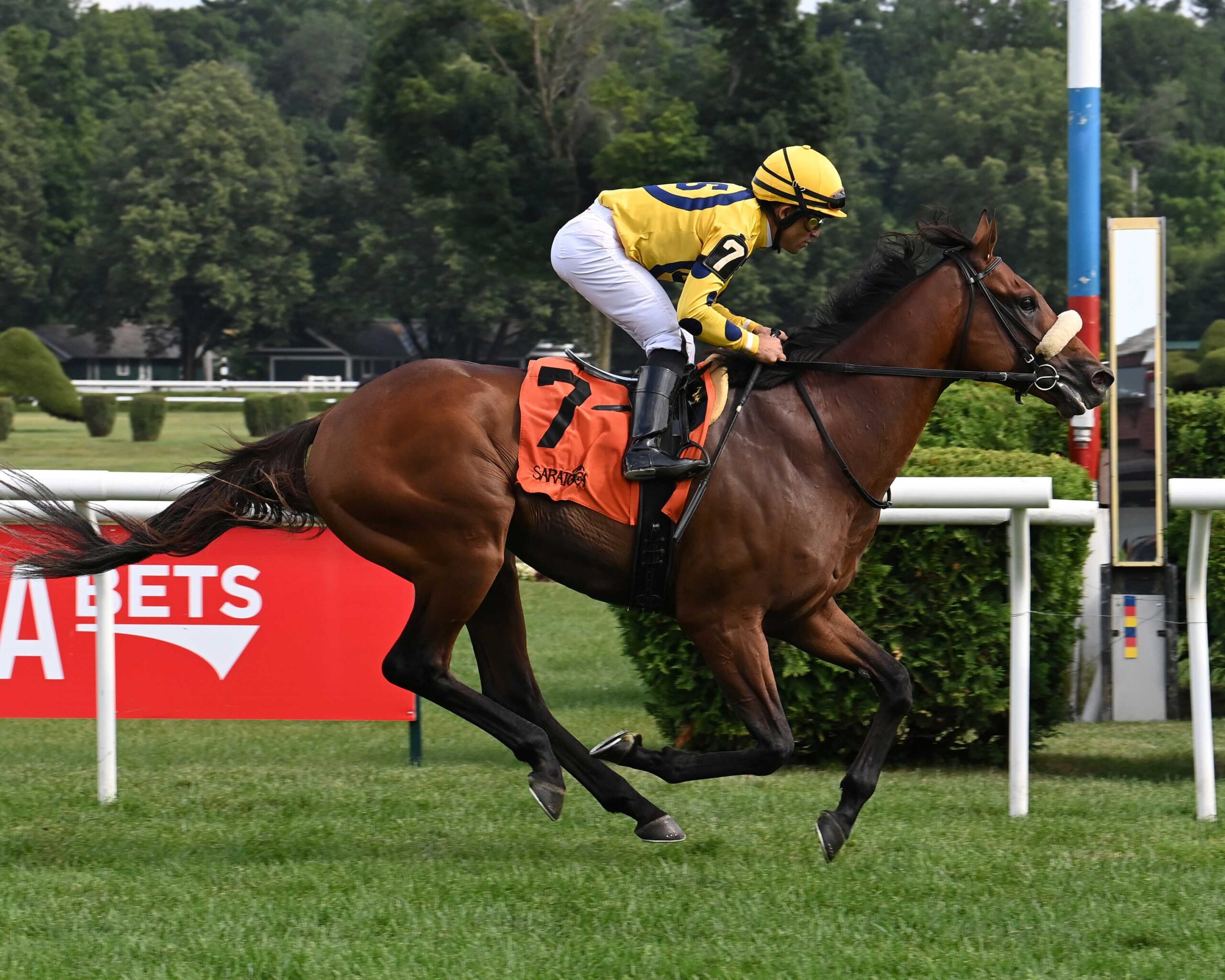 Far Bridge, horse, English Channel, Bowling Green Stakes, sábado, 12 de julio de 2025, Saratoga. Foto: Coglaniese Photo