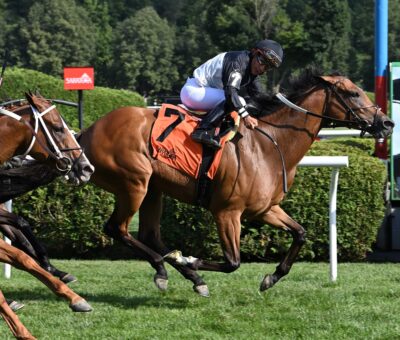 Future Is Now, horses, Great Notion, Caress Stakes, viernes, 19 de julio de 2025, Saratoga. Foto: Coglaniese Photo