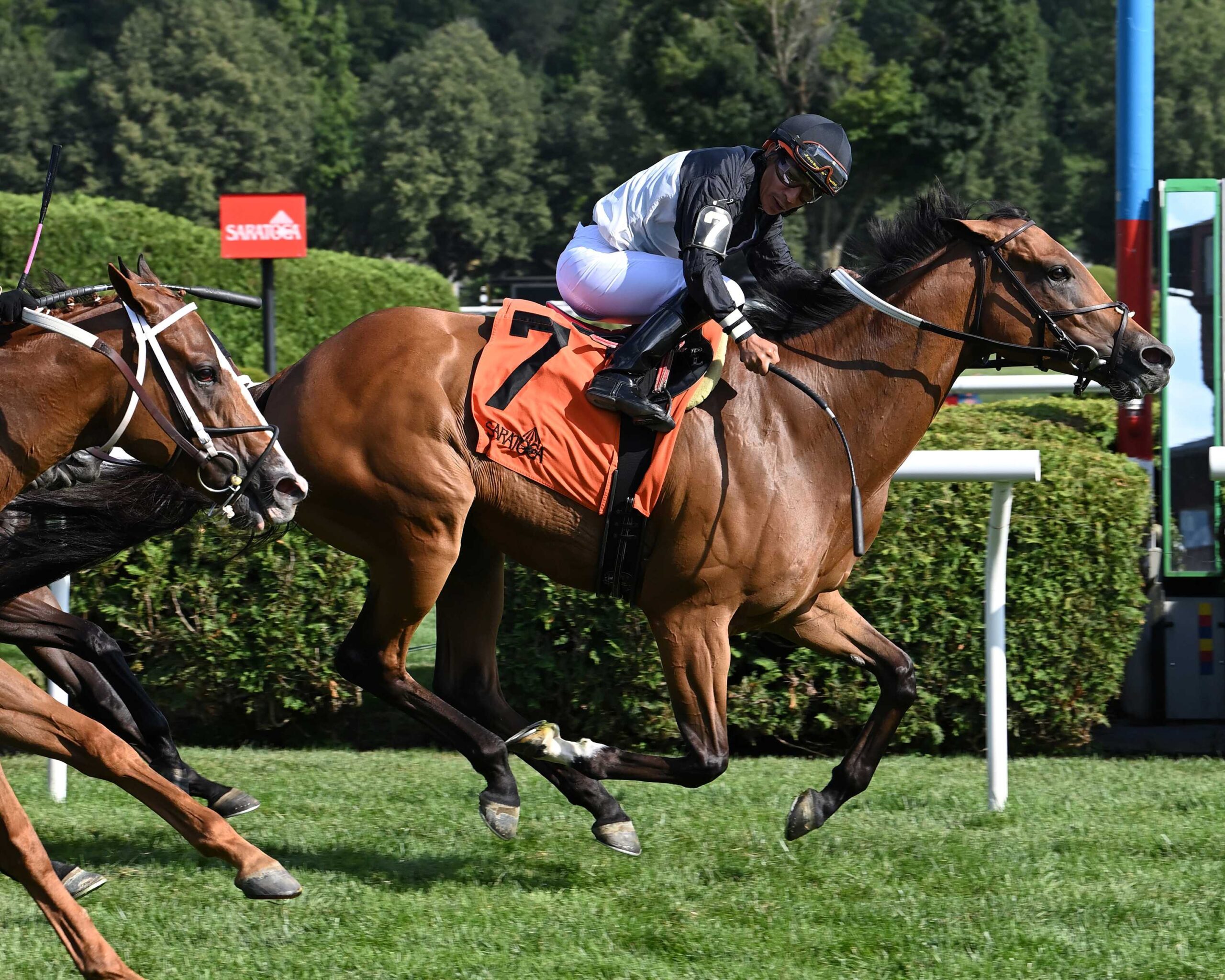 Future Is Now, horses, Great Notion, Caress Stakes, viernes, 19 de julio de 2025, Saratoga. Foto: Coglaniese Photo