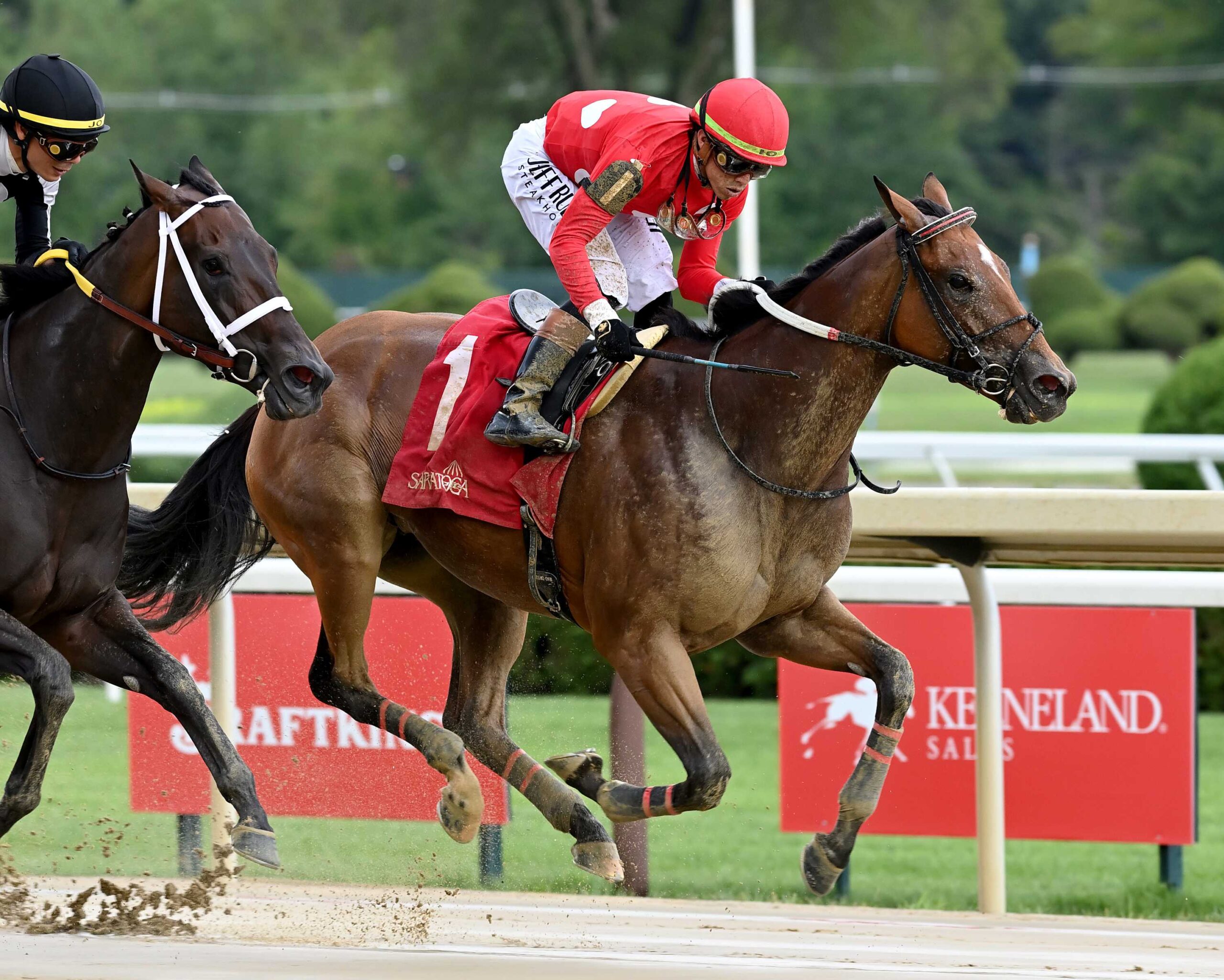 Halina´s Forte, horse, Mitole, Honorable Miss Hándicap, domingo, 20 de julio de 2025, Saratoga. Foto: Coglaniese Photo