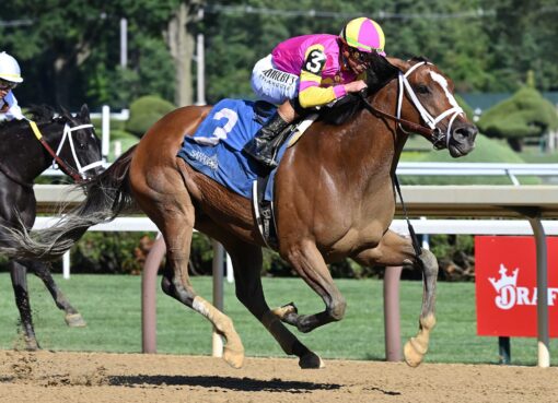 Leslie´s Rose, horse, Whisper Hill Farm, viernes, 18 de julio de 2025, Saratoga. Foto: Coglaniese Photo