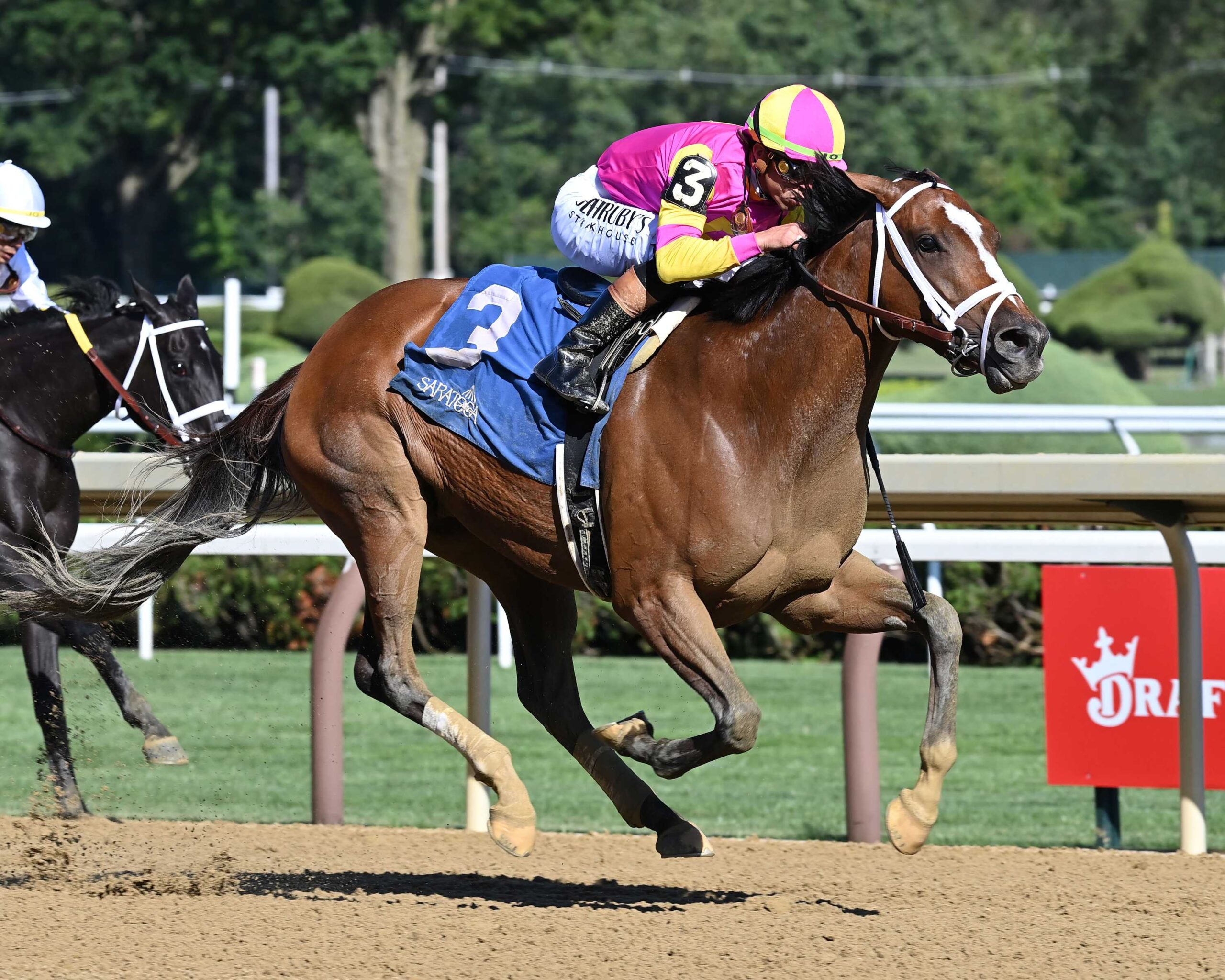 Leslie´s Rose, horse, Whisper Hill Farm, viernes, 18 de julio de 2025, Saratoga. Foto: Coglaniese Photo