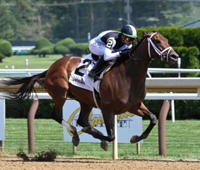 Nest, horse, Curlin, Shuvee Stakes, domingo, 23 de julio de 2023, Saratoga. Foto: Coglaniese Photo