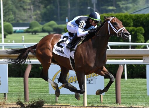 Nest, horse, Curlin, Shuvee Stakes, domingo, 23 de julio de 2023, Saratoga. Foto: Coglaniese Photo
