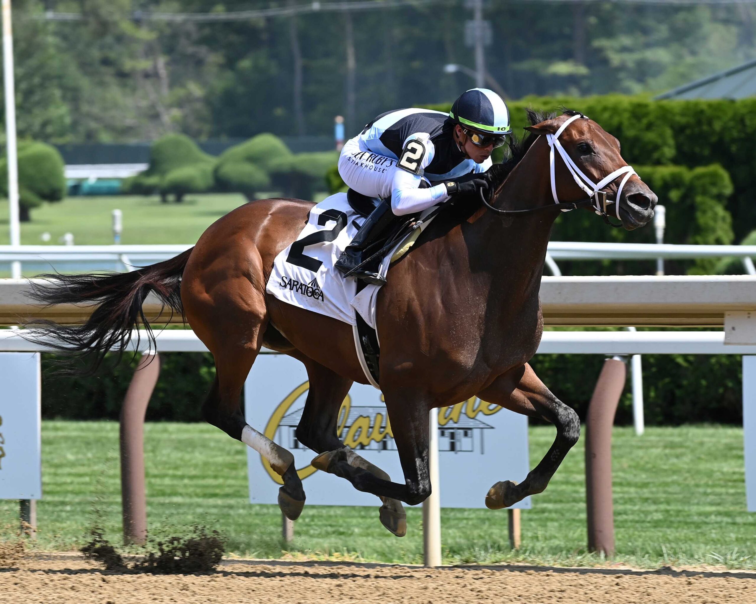 Nest, horse, Curlin, Shuvee Stakes, domingo, 23 de julio de 2023, Saratoga. Foto: Coglaniese Photo