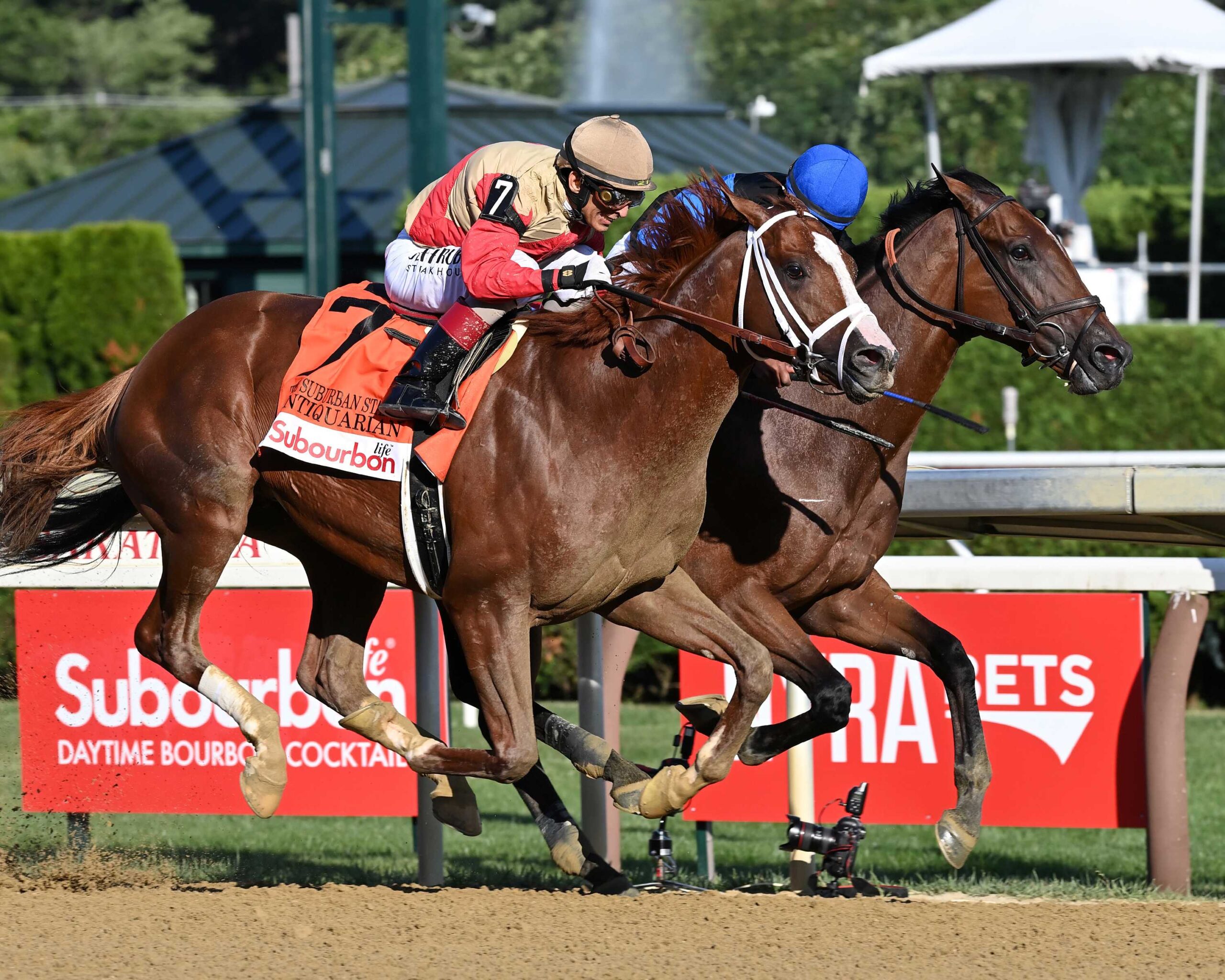 Phileas Fogg, horse, Godolphin, Suburban Stakes, sábado, 5 de julio de 2025, Saratoga. Foto: Coglianese Photo