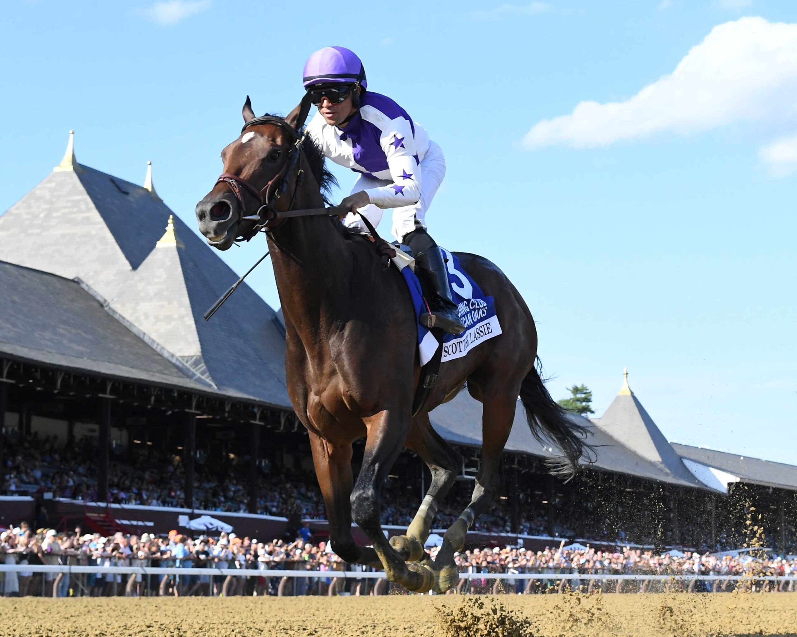 Scottish Lassie, horse, McKinzie, Coaching Club American Oaks, sábado, 19 de julio de 2025, Saratoga. Foto: Coglaniese Photo