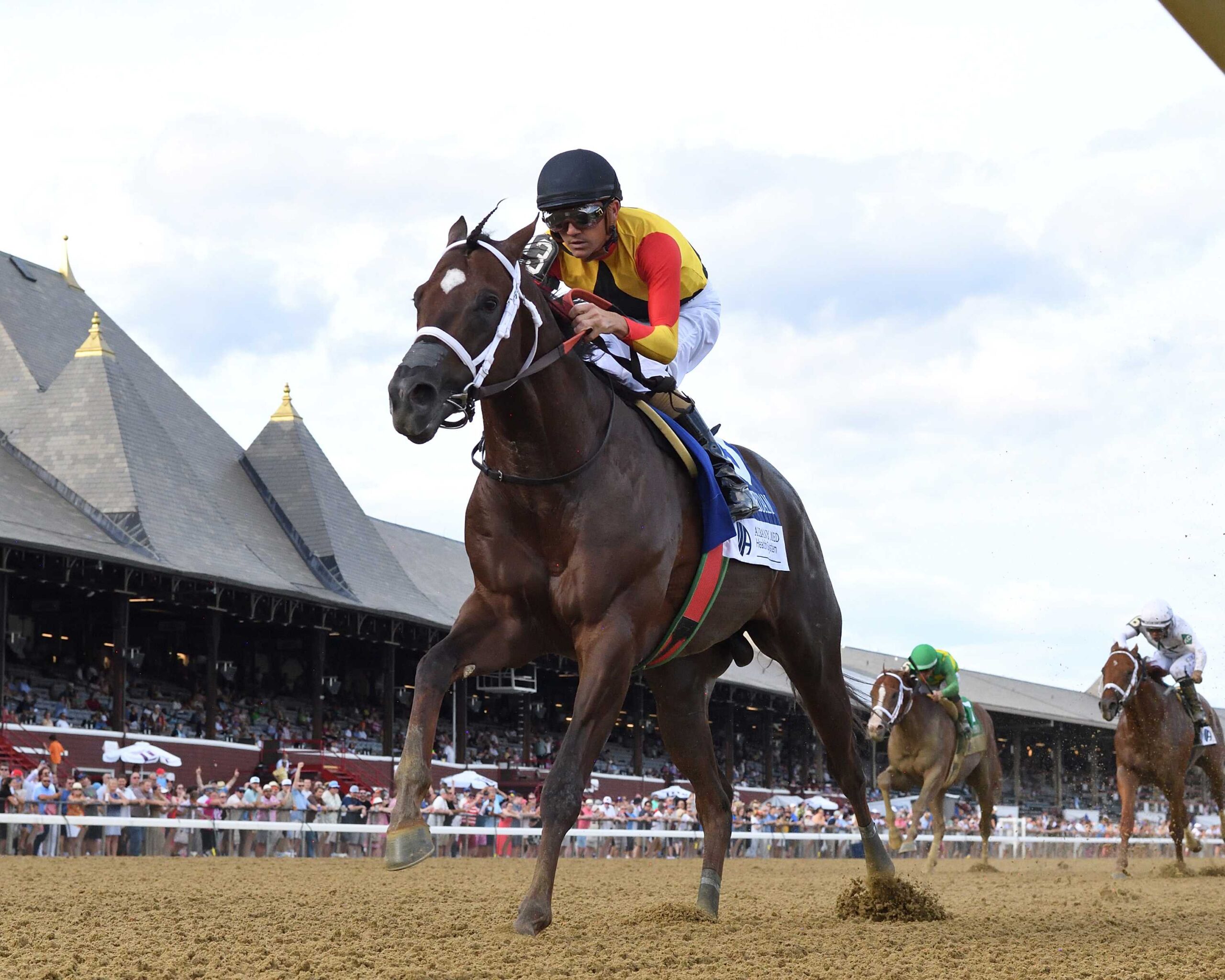 Smoken Wicked, horse, Bobby´s Wiked One, Amsterdam Stakes, viernes, 25 de julio de 2025, Saratoga. Foto: Coglaniese Photo