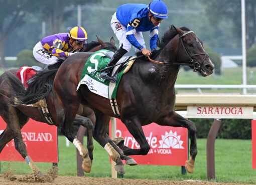 Sovereignty, horse, Into Mischief, Jim Dandy Stakes, sábado, 26 de julio de 2025, Saratoga. Foto: Coglaniese Photo