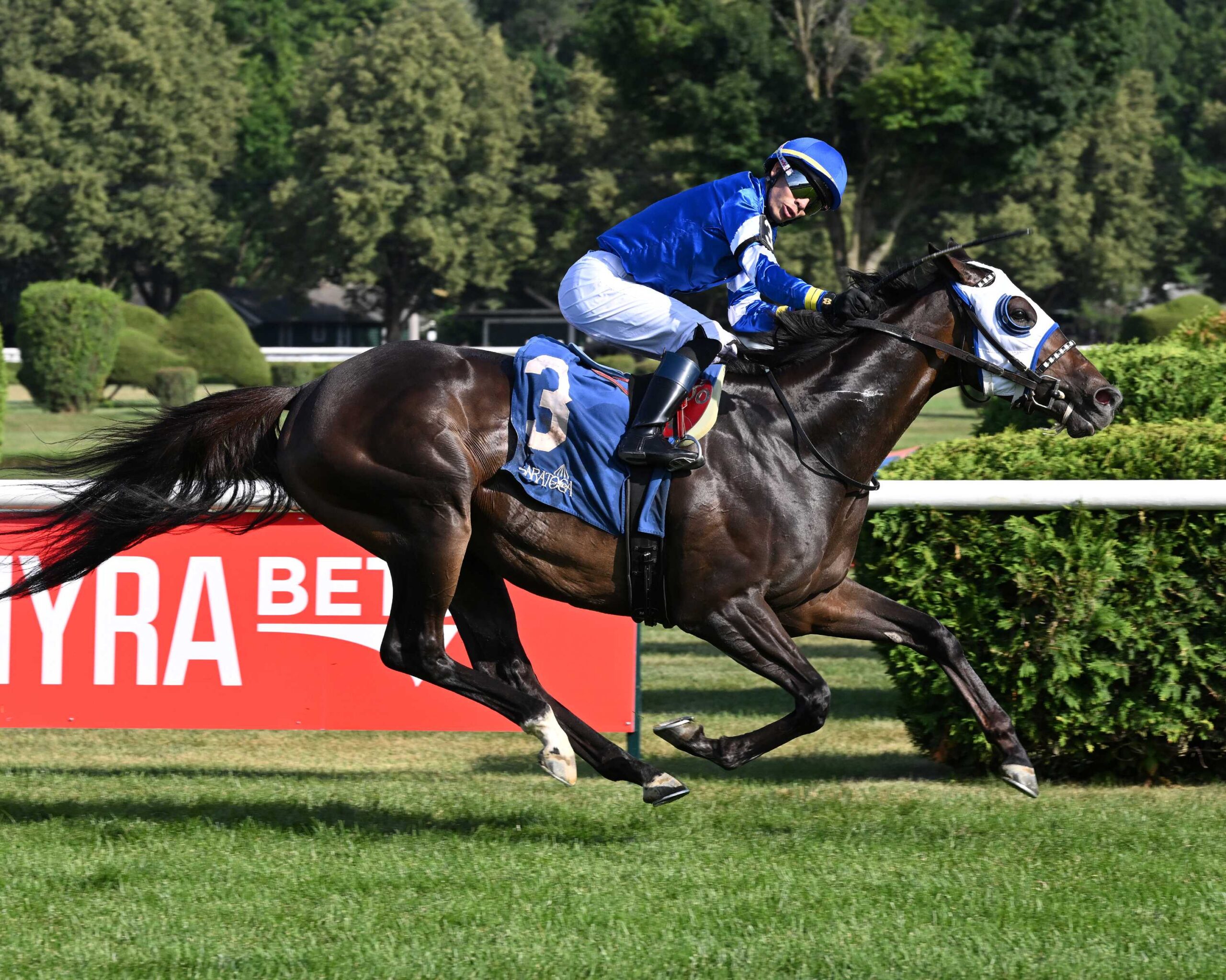 Think Big, horse, Twirling Candy, Kelso Stakes, sábado, 5 de julio de 2025, Saratoga. Foto: Coglianese Photo