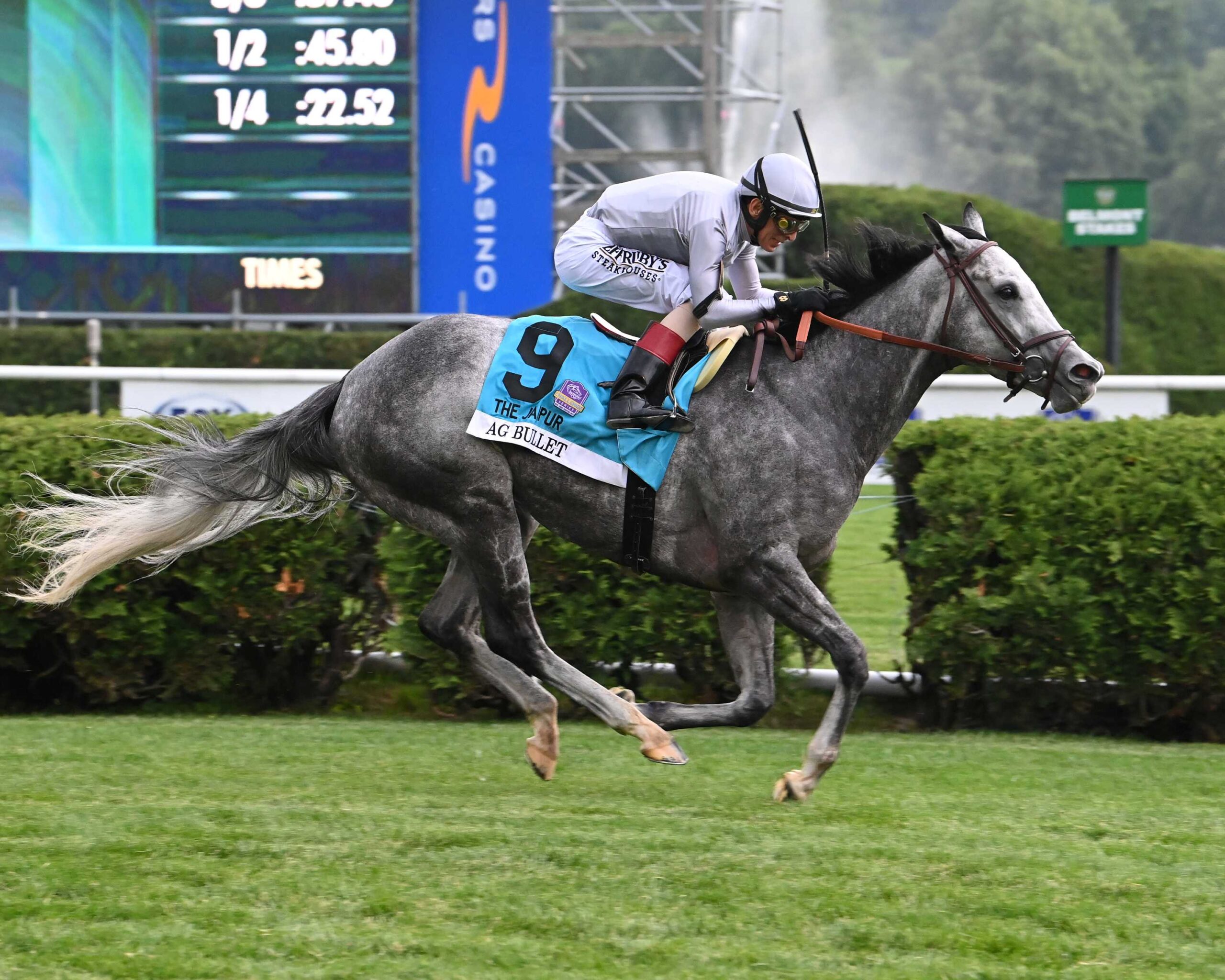 Ag Bullet, Horses, Twirling Candy, Jaipur Stakes, domingp, 8 de junio de 2025, Saratoga. Foto: Coglianese Photo