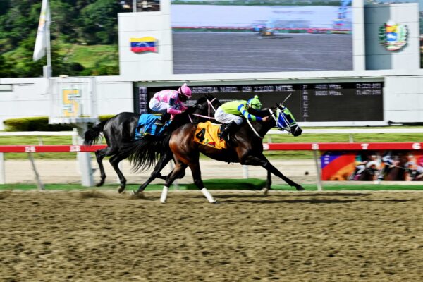 Bella Del Cielo, horse, Júpiter Pluvius, Clásico Julián Abdala, domingo, 24 de agosto de 2025, La Rinconada. Foto: José Antonio Aray