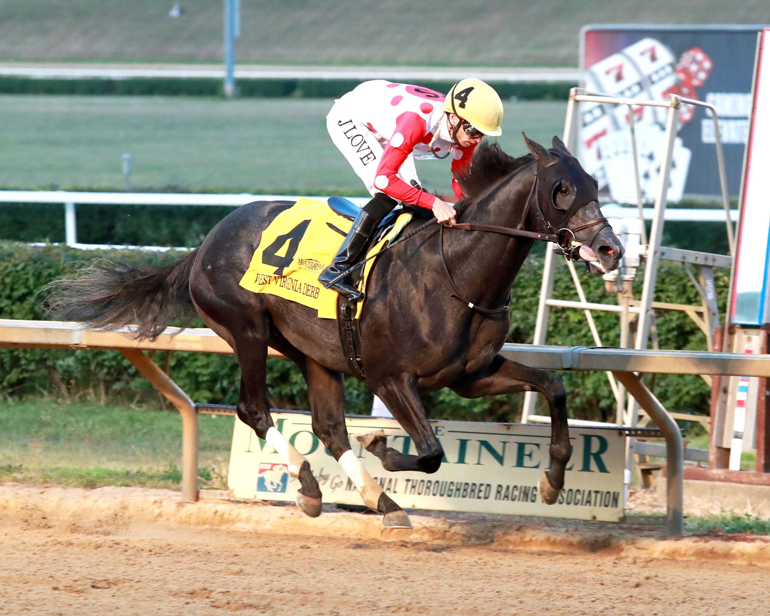 Chunk of Gold, horse, Preservationist, West Virginia Derby, domingo, 3 de agosto de 2025, Mountaineer Casino. Foto: Coady Media