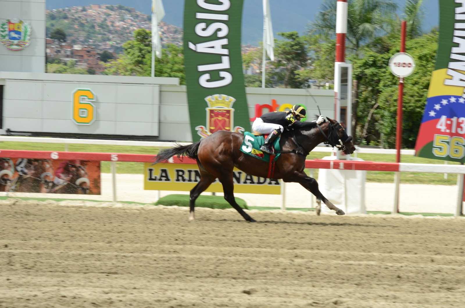 Fleet Street, horse, Street Boss, Clásico Simón Rodríguez, domingo, 3 de agosto de 2025, La Rinconada. Foto: José Antonio Aray