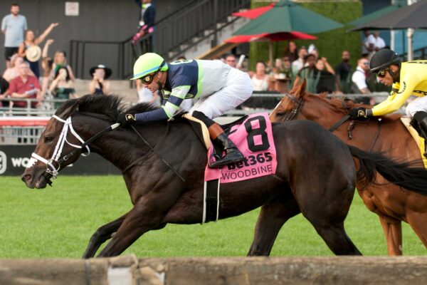 Gas Me Up, horses, Sam-Son Farm, King Edward Stakes, sábado, 16 de agosto de 2025, Woodbine. Michael Burns Photography & Woodbine