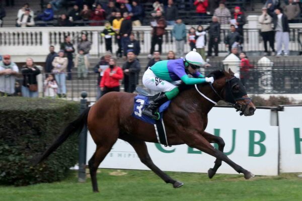Morikawa, horse, Stud Matriarca, Clásico Polla de Potrillos, domingo, 3 de agosto de 2025, Club Hípico de Santiago. Foto: Jaime Cortés