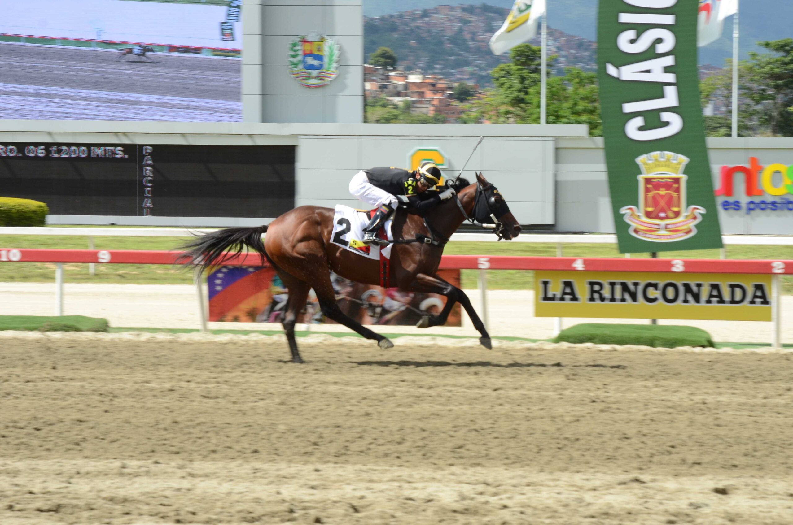 Rockville, horse, Street Boss, Clásico My Own Business, domingo, 3 de agosto de 2025, La Rinconada. Foto: José Antonio Aray