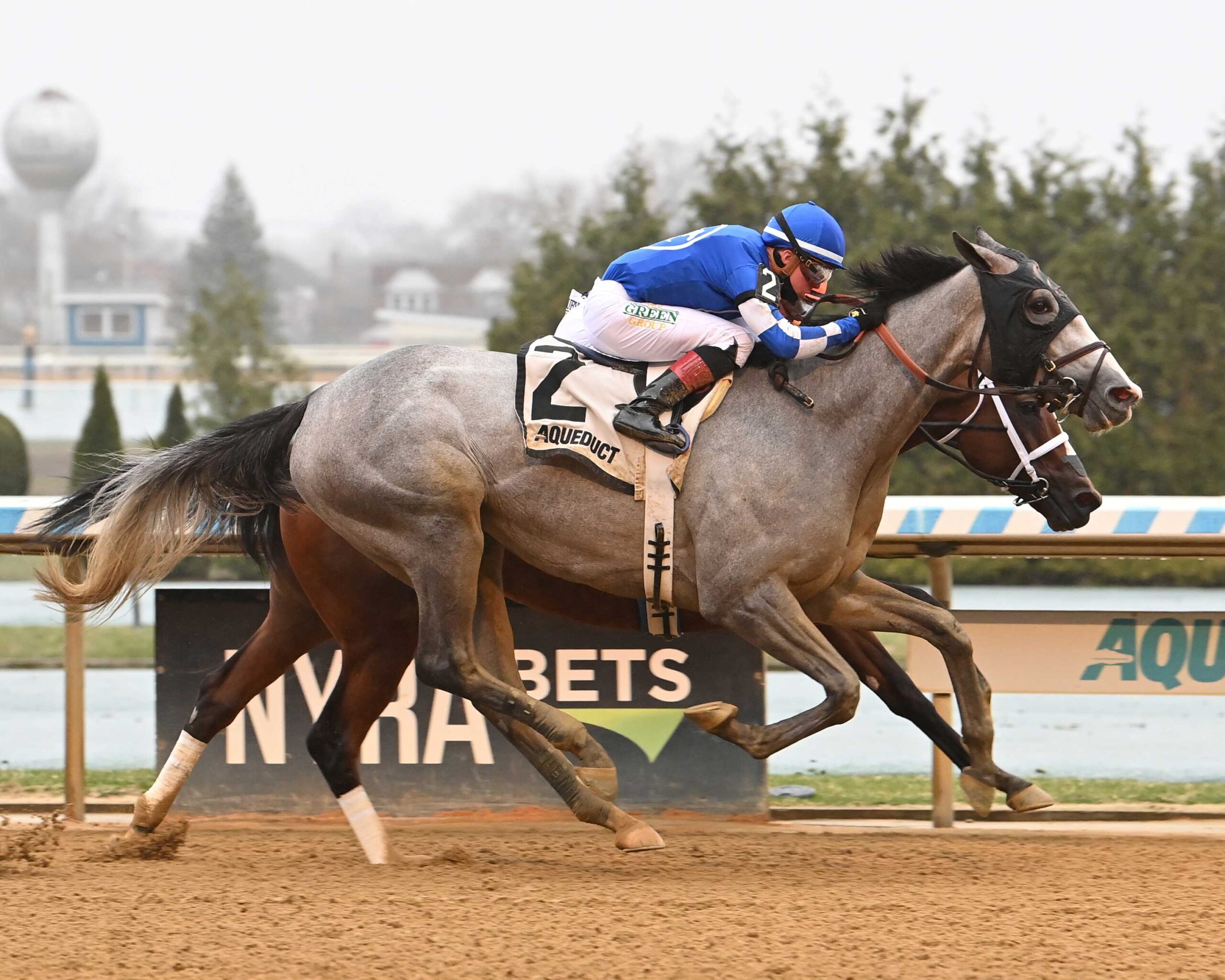 Ballerina D´Oro, horse, Medaglia D´Oro, Gazelle Stakes, sábado, 5 de abril de 2025, Aqueduct. Foto: Coglianese Photo