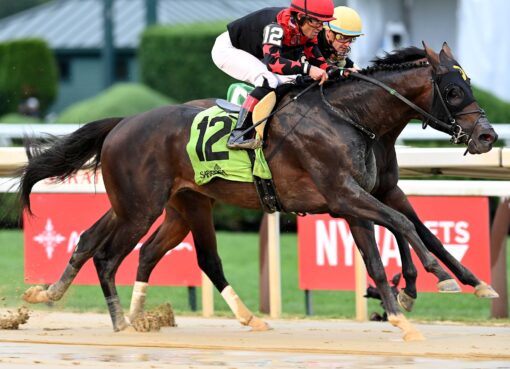 Doc Sullivan, horse, Solomini, John Morrissey, jueves, 31 de julio de 2025, Saratoga. Foto: Coglaniese Photo
