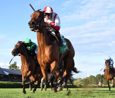 Dynamic Pricing, horse, Nigth Of Thunder Perfect Sting, viernes, 29 de agosto de 2025, Saratoga. Foto: Coglianese Photo