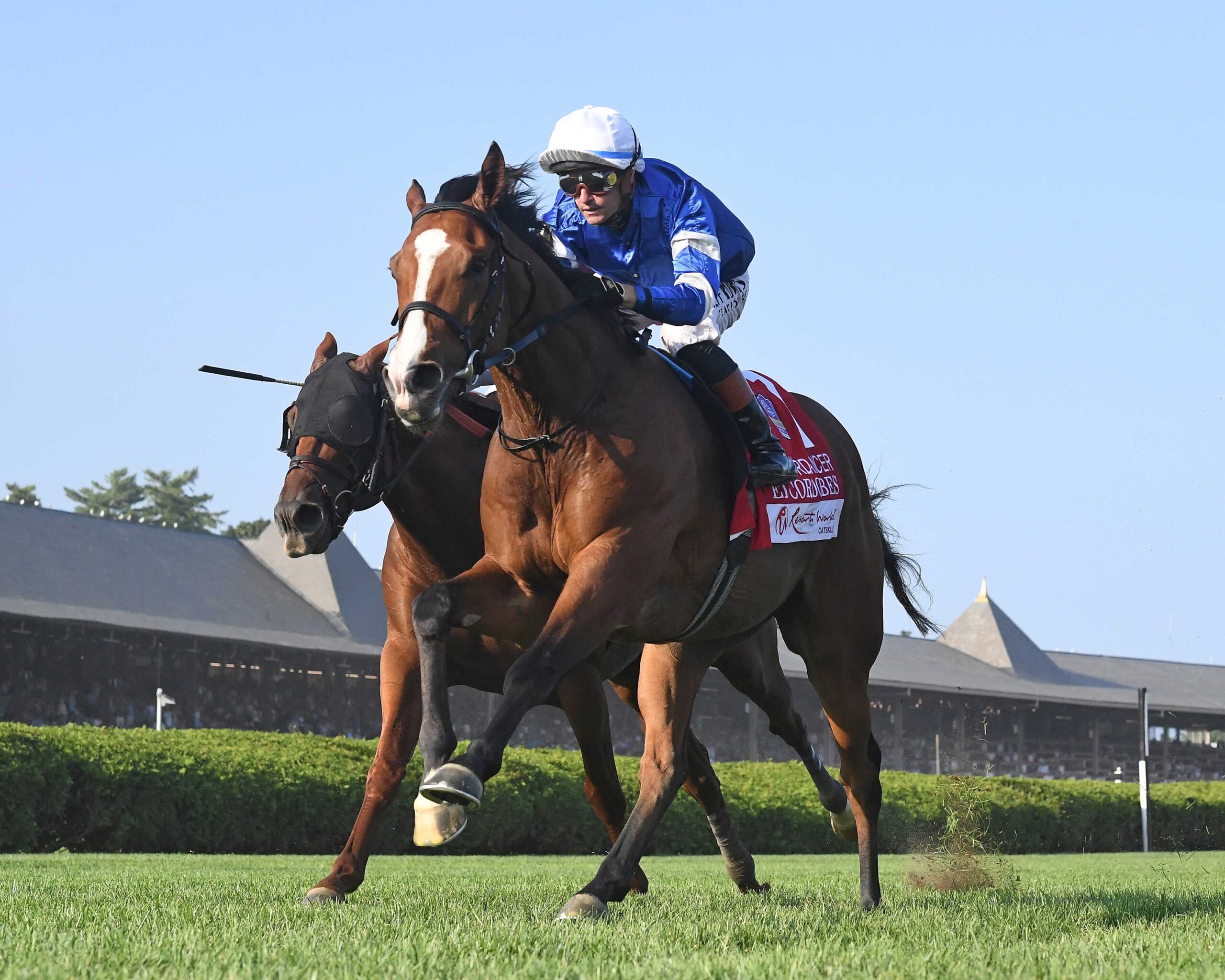El Cordobés, horse, Godolphin, Dancer Stakes, sábado, 9 de agosto de 2025, Saratoga. Foto: Coglaniese Photo