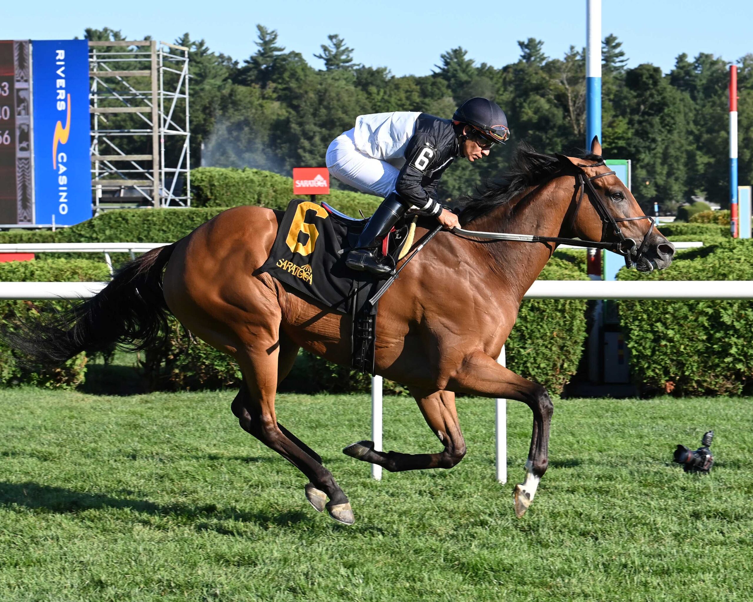 Future Is Now, horses, Great Notion, Smart N Fancy Stakes, viernes, 15 de agosto de 2025, Saratoga. Foto: Coglaniese Photo