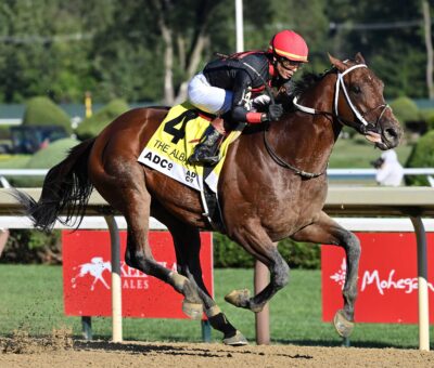 Iron Dome, horse, Into Mischief, Albany Stakes, jueves, 21 de agosto de 2025, Saratoga. Foto: Coglaniese Photo