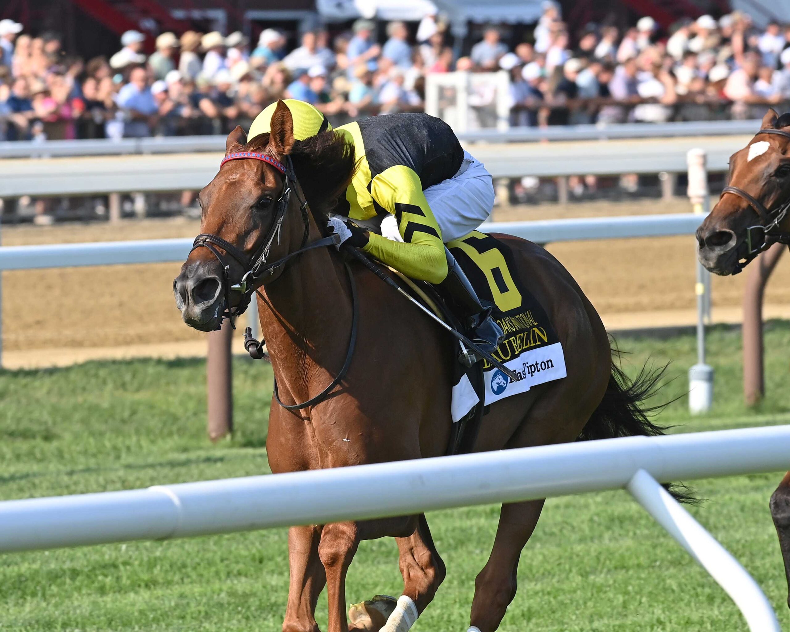 https://hipicaglobal.com/noticias/usa/cinderellas-dream-ratifico-clase-al-ganar-el-saratoga-oaks-invitational/