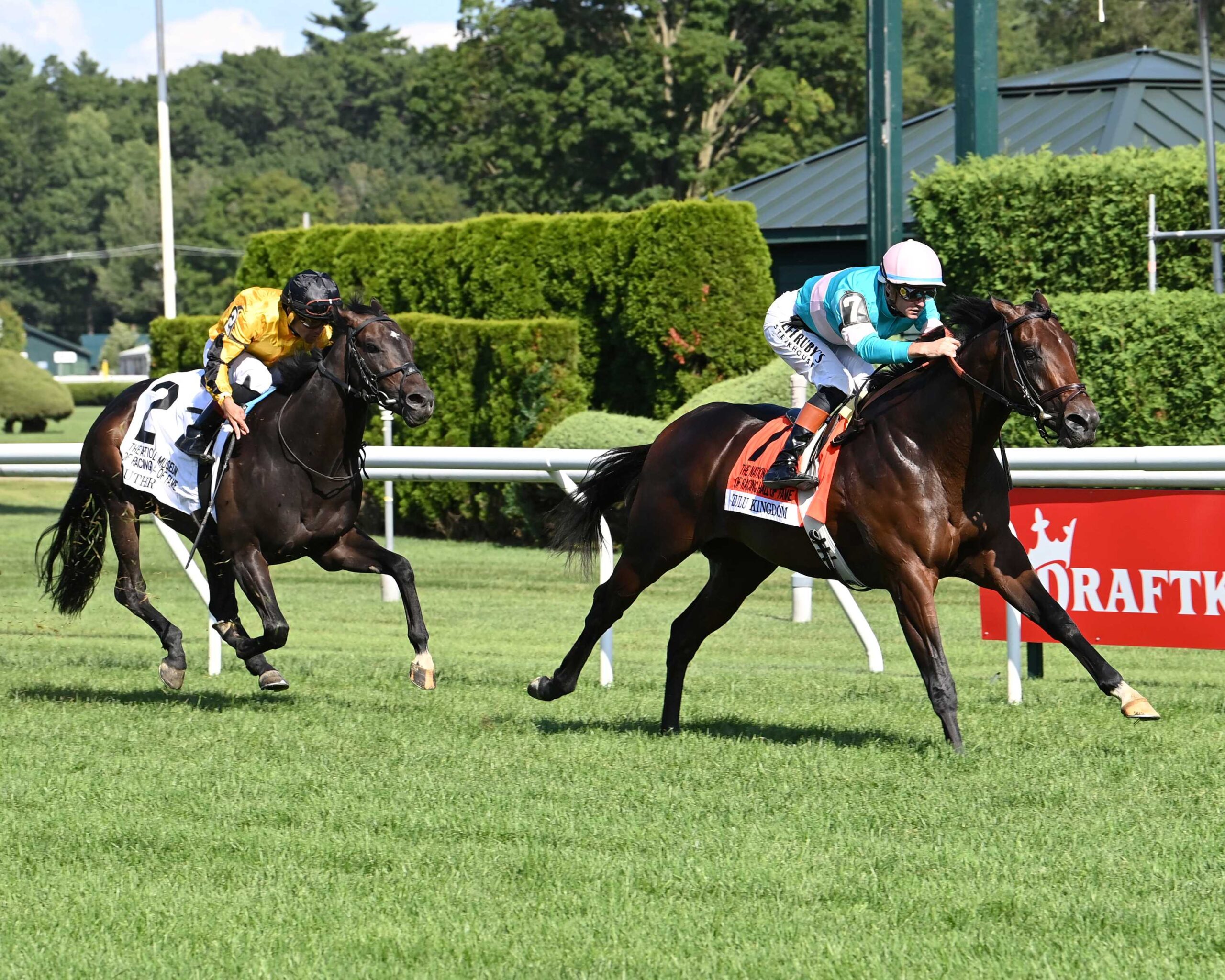 Luther, horse, Frankel, National Museum Of Racing Hall of Fame Stakes, viernes, 1 de agosto de 2025, Saratoga. Foto: Coglaniese Photo