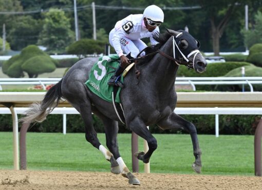 Minorinconvenience, horse, Mendelssohn, Funny Cide Stakes, miércoles, 27 de agosto de 2025, Saratoga. Foto: Coglaniese Photo