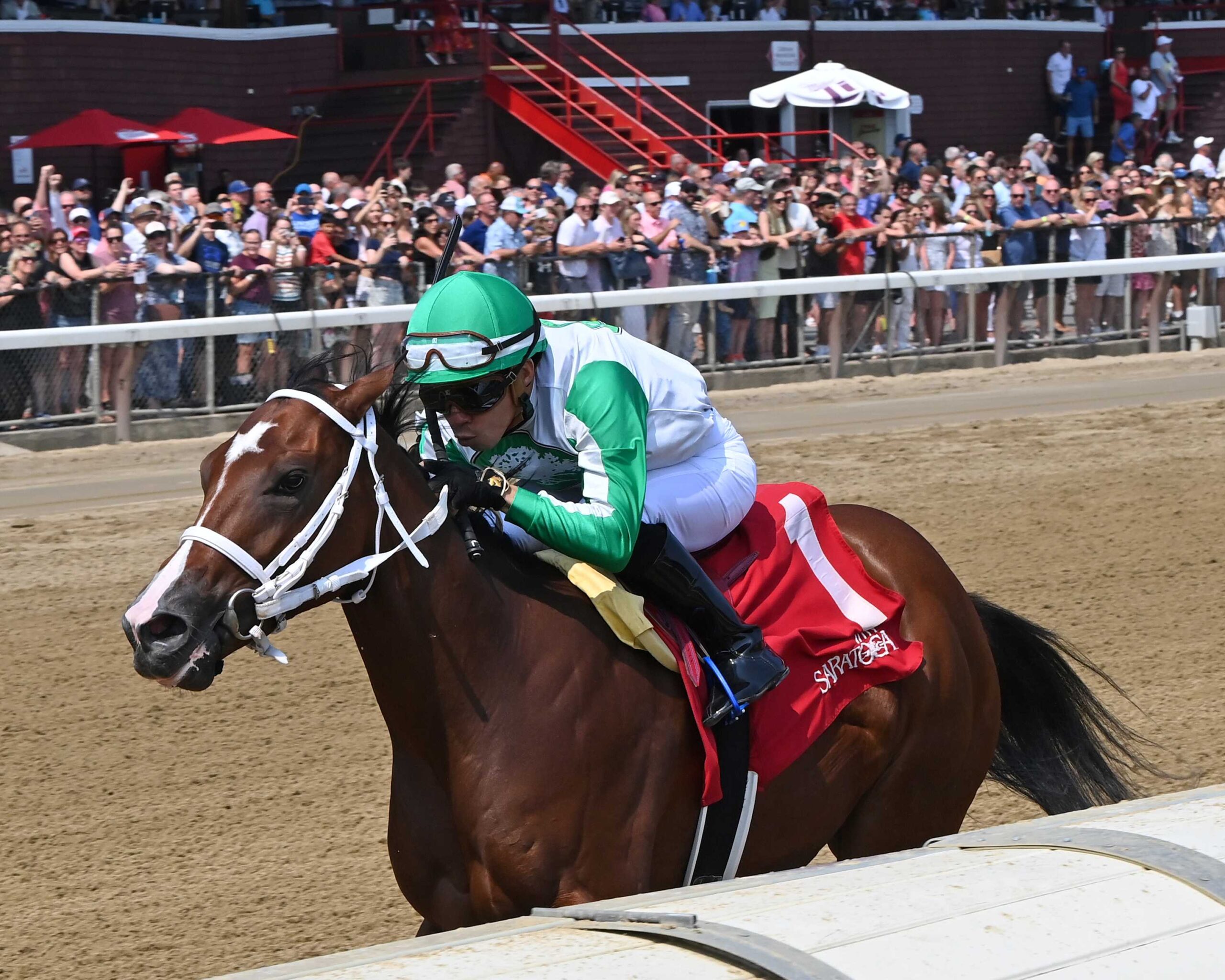 Mythical, horse, St Patrick´s Day, Adirondack Stakes, domingo, 3 de julio de 2025, Saratoga. Foto: Coglaniese Photo & Chelsea Durand