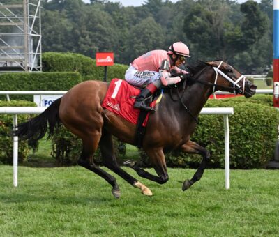 Pop Idol, horse, Maclean´s Music, Galway Stakes, jueves, 7 de agosto de 2025, Saratoga. Foto: Coglaniese Photo