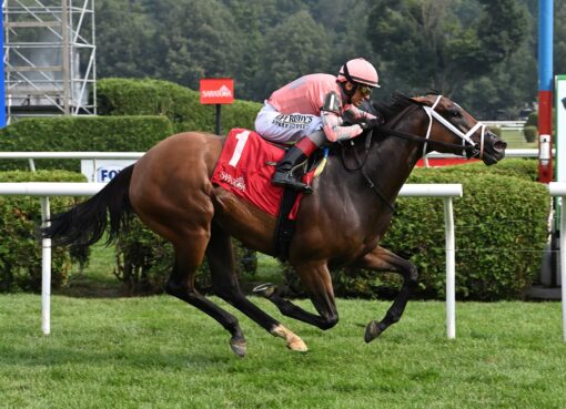 Pop Idol, horse, Maclean´s Music, Galway Stakes, jueves, 7 de agosto de 2025, Saratoga. Foto: Coglaniese Photo