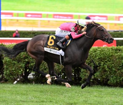 Rhetorical, horse, Not This Time, West Point Stakes, domingo, 24 de agosto de 2025, Saratoga. Foto: Coglaniese Photo