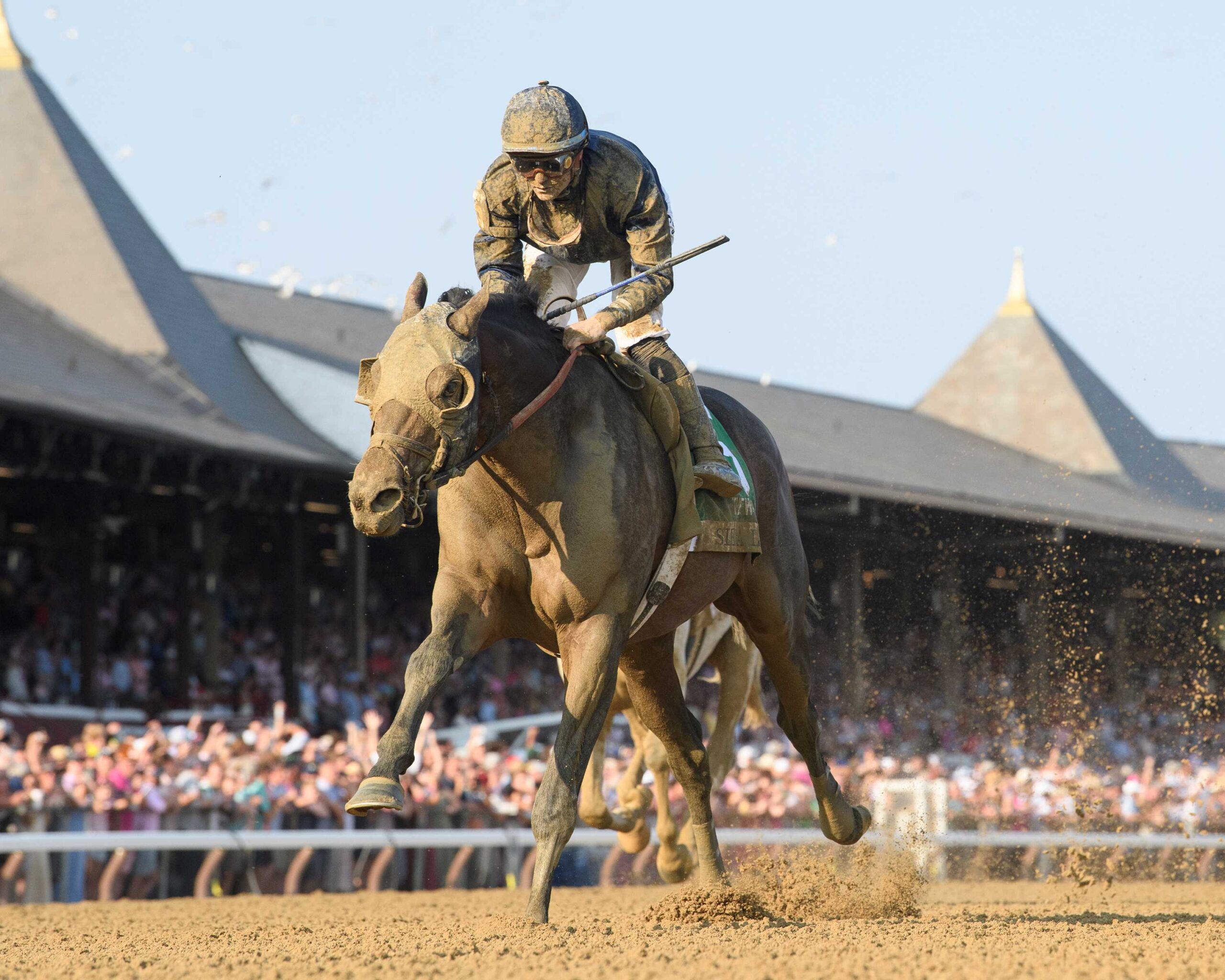 Sierra Leone, horses, Gun Runner, Whitney Stakes, sábado, 2 de agosto de 2025, Saratoga. Foto: Coglaniese Photo