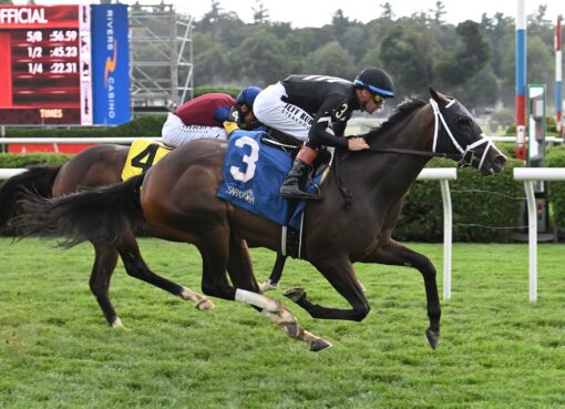 Snow Face Princess, horse, Midshipman, Bolton Landing Stakes, domingo, 17 de agosto de 2025, Saratoga. Foto: Coglaniese Photo