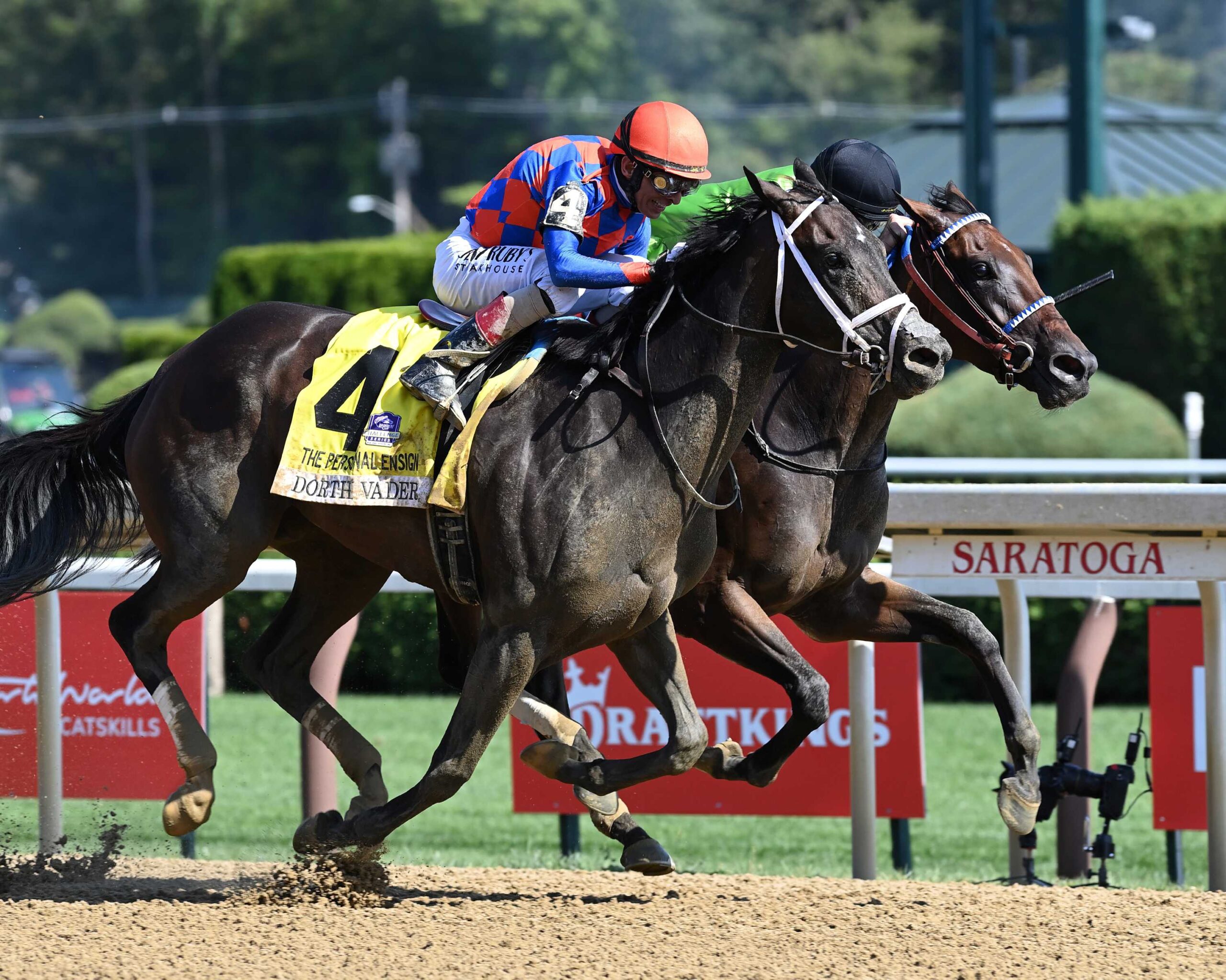 Thorpedo Anna, horse, Fast Anna, Personal Ensign Stakes, sábado, 23 de agosto de 2025, Saratoga. Foto: Coglaniese Photo