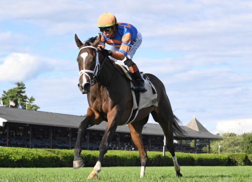 Time To Dream, horses, Repole Stable, P. G. Johnson Stakes, miércoles, 27 de agosto de 2025, Saratoga. Foto: Coglaniese Photo & Chelsea Durand