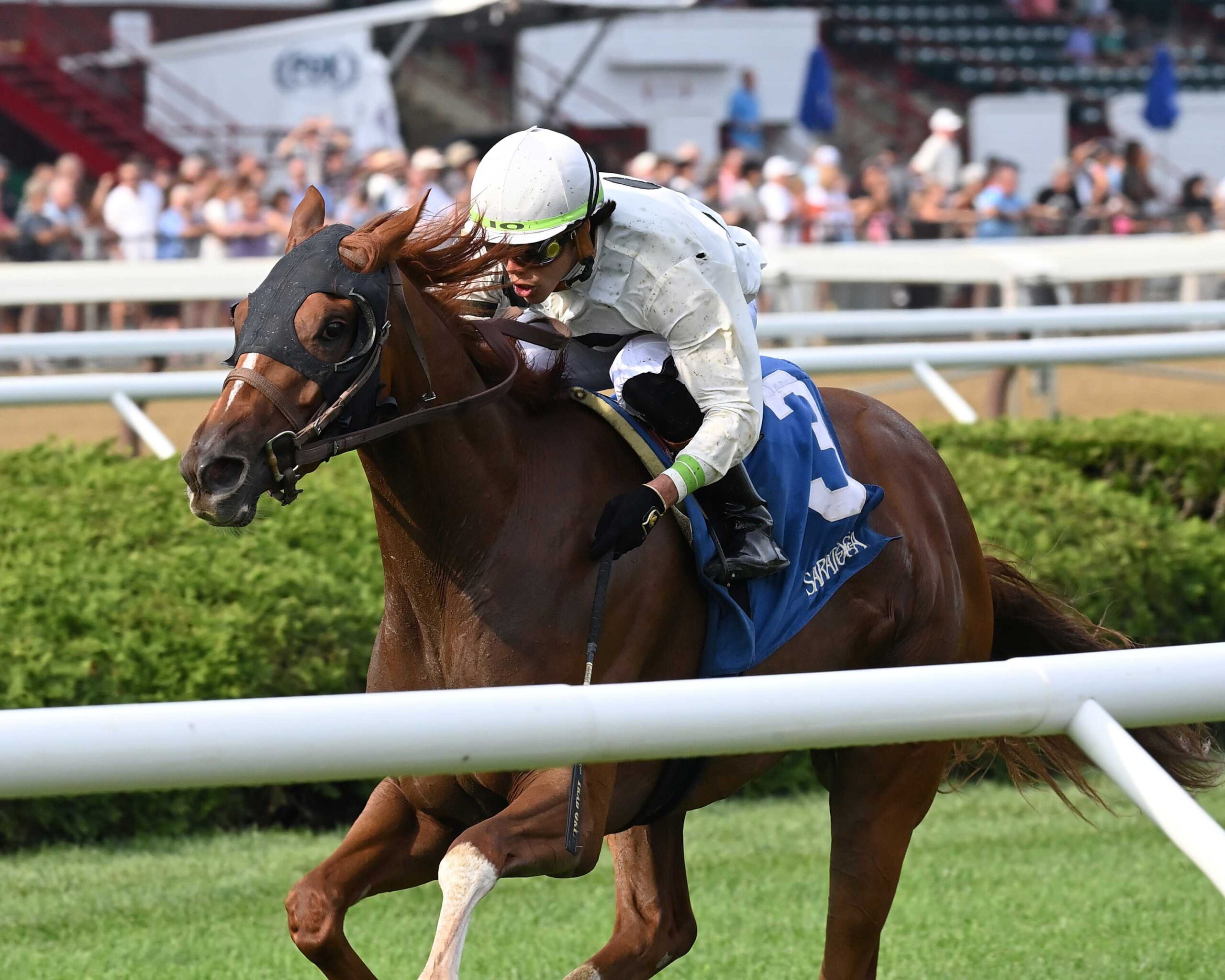 Trail Of Gold, horse, Solomini, NYSS Statue Of Liberty División, Miércoles, 13 de agosto de 2025, Saratoga. Foto: Coglaniese Photo & Chelsea Durand