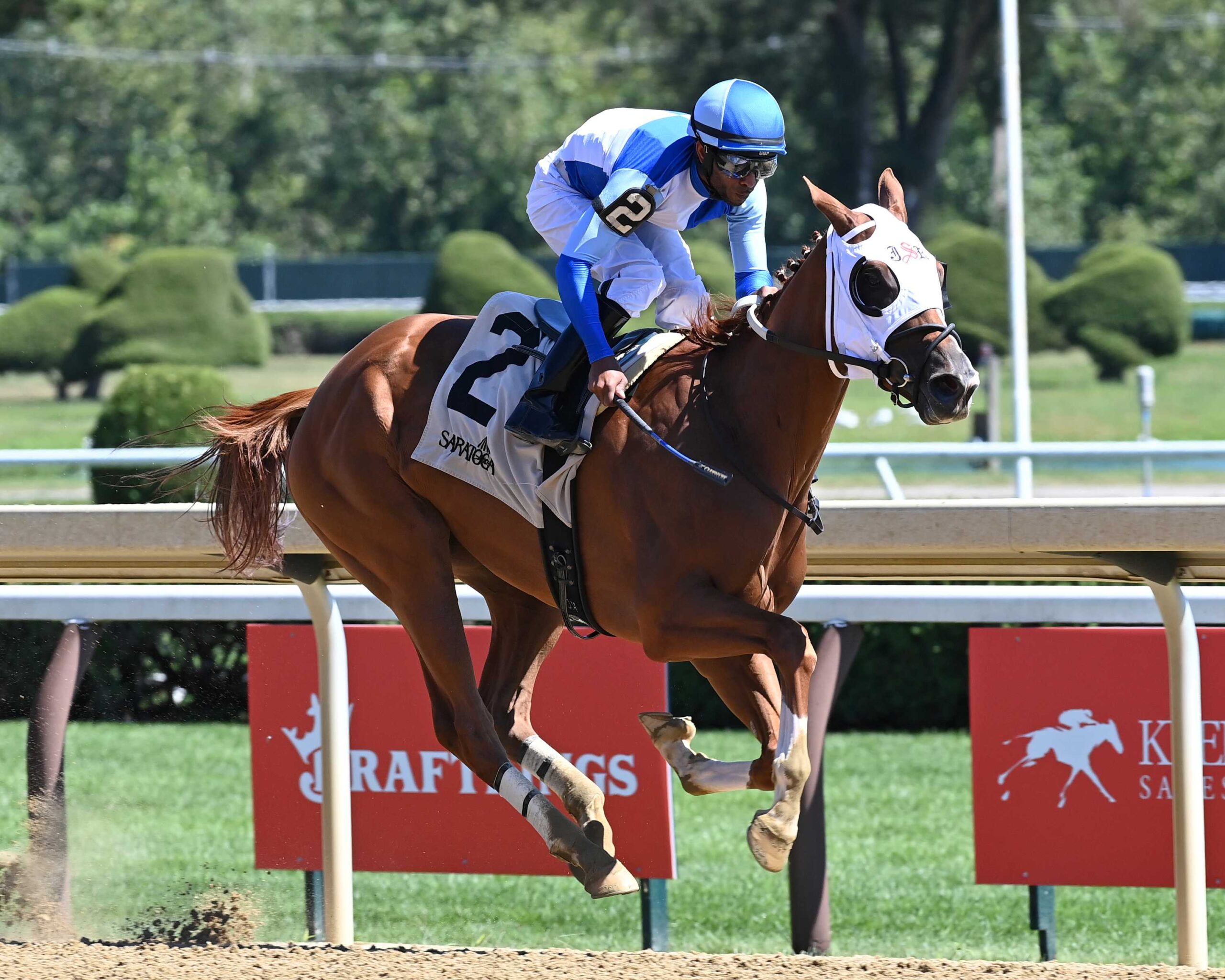 Vehemente, horse, Vekoma, Fleet Indian Stakes, miércoles, 20 de agosto de 2025, Saratoga. Foto: Coglaniese Photo