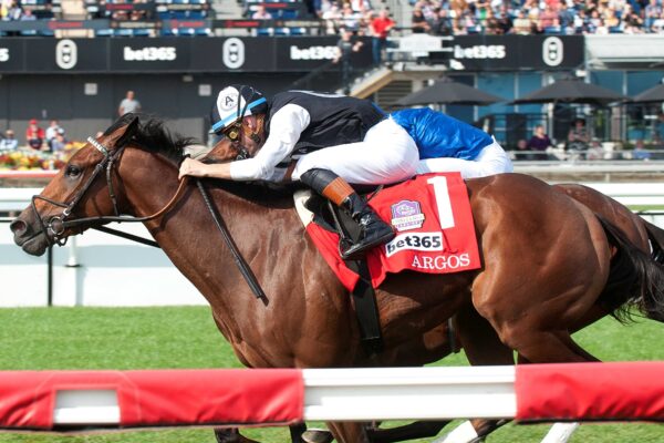Argos, horse, Nyquist, bet365 Summer Stakes Stakes, sábado, 13 de septiembre de 2025, Woodbine. Michael Burns Photography & Woodbine